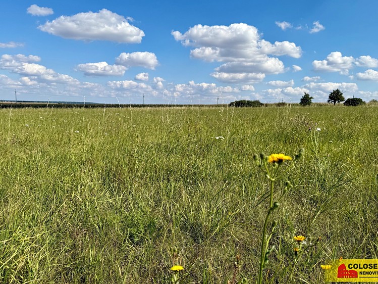 Ostatní