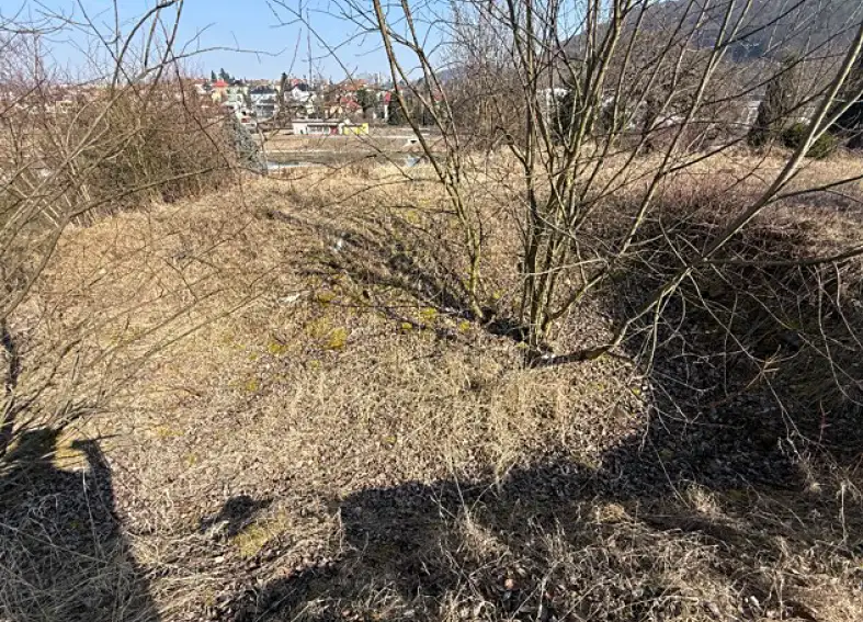 Dražba zahrady 1664 m², Hranice – náhled fotky 3