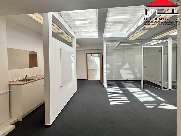 Pronájem komerčního prostoru, 196 m² (8 z 29)