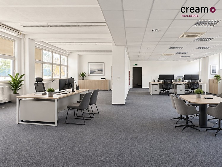 Pronájem komerčního prostoru, 263 m² (1 z 14)