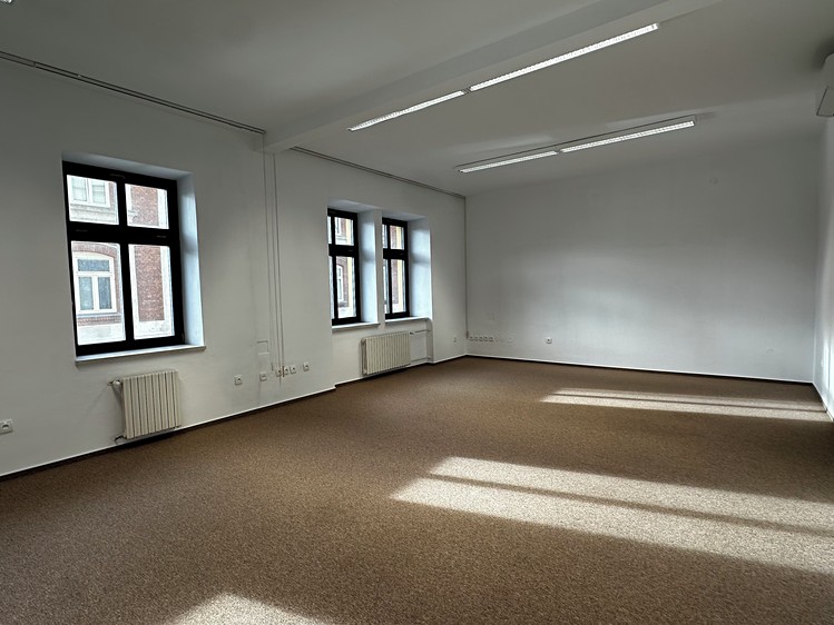 Pronájem komerčního prostoru, 48 m² (1 z 7)