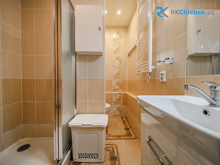 Prodej bytu 2+1, 45 m² (6 z 19)