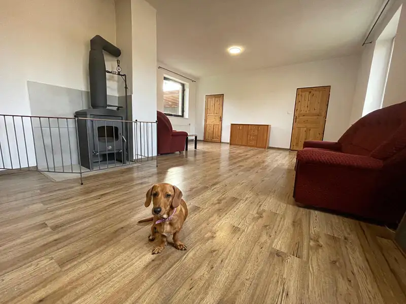 Pronájem rodinného domu 120 m², pozemek 200 m², Česká Třebová – náhled fotky 3