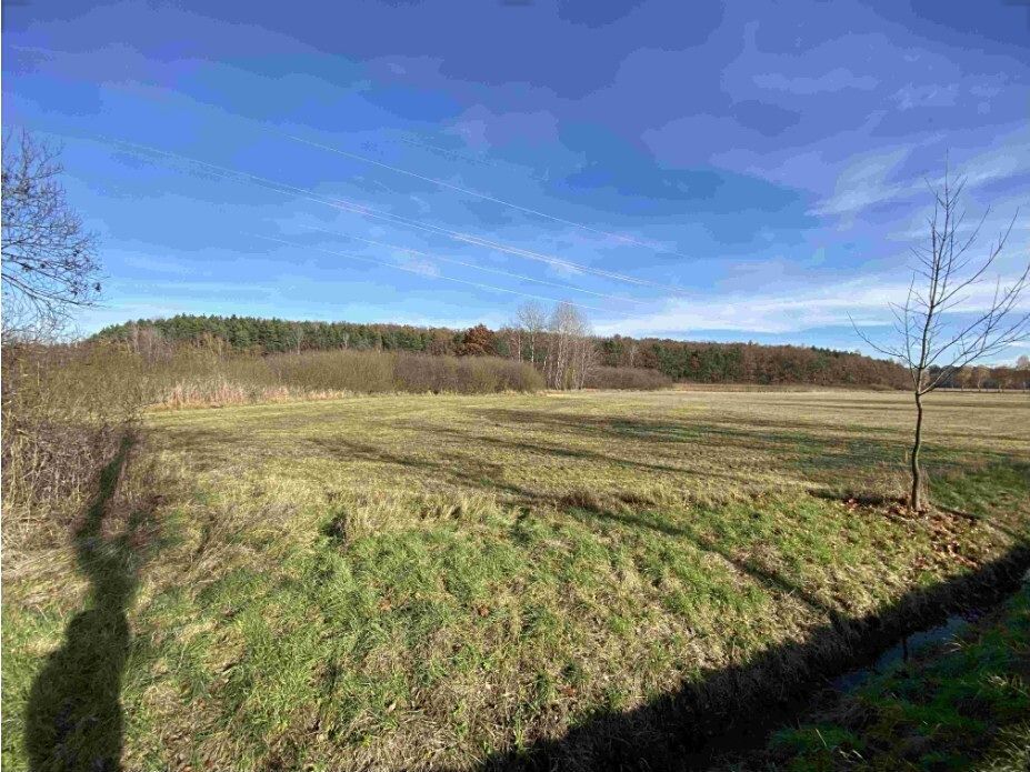 Dražba louky 2663 m², Vodňany – fotka 1 z 3