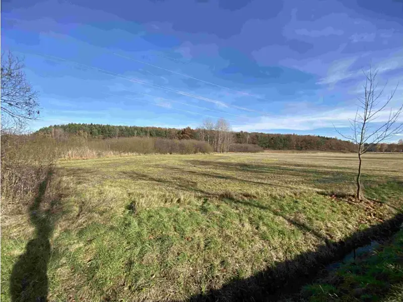 Dražba louky 2663 m², Vodňany – náhled fotky 1