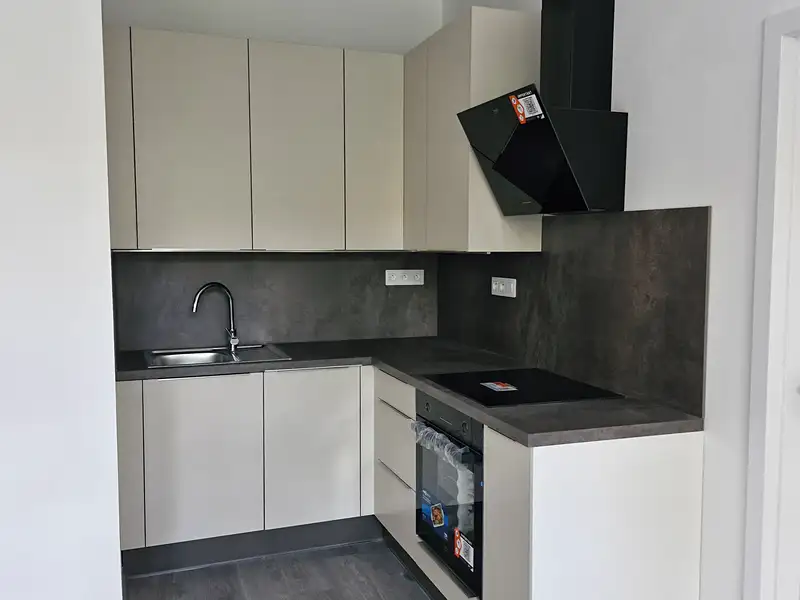 Pronájem bytu 2+kk 50 m², Plzeň – náhled fotky 2