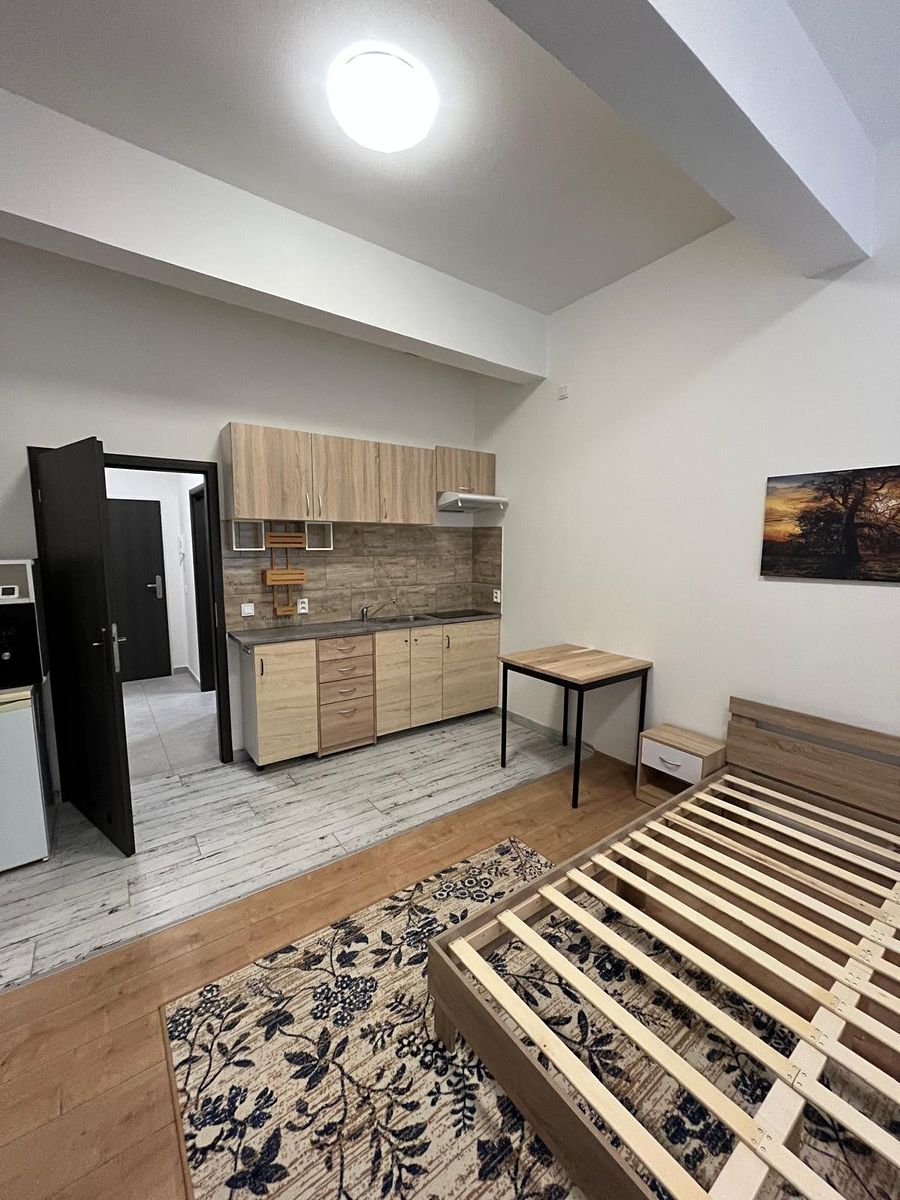 Pronájem bytu 1+kk 26 m²