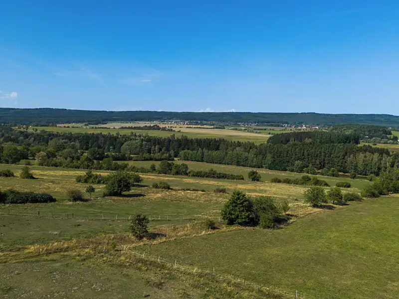 Prodej bytu 3+kk 96 m², Podlesí – náhled fotky 3