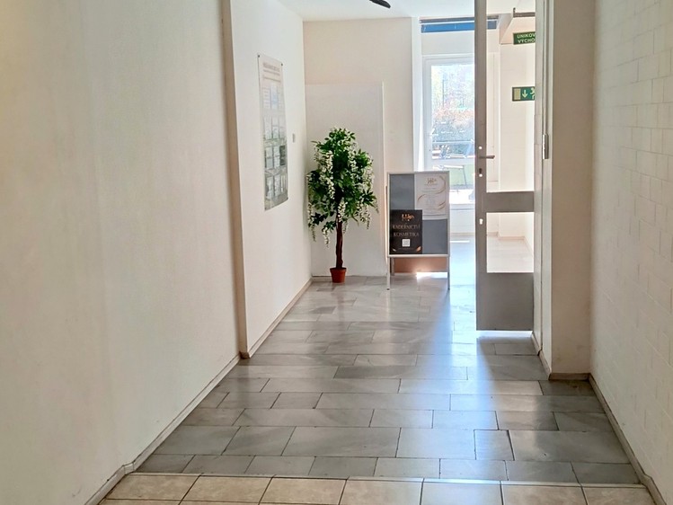 Pronájem komerčního prostoru, 21 m² (3 z 12)