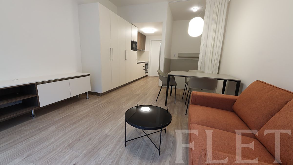 Pronájem bytu 1+kk 38 m², Praha – fotka 1 z 3