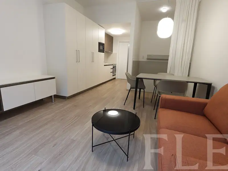 Pronájem bytu 1+kk 38 m², Praha – náhled fotky 1