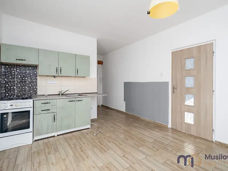 Prodej bytu 1+1 35 m², Bílina – náhled fotky 2