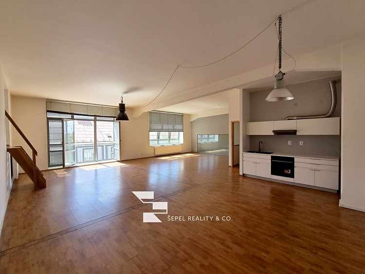 The 2+kk flat for rent, 107 m² (1 of 20)