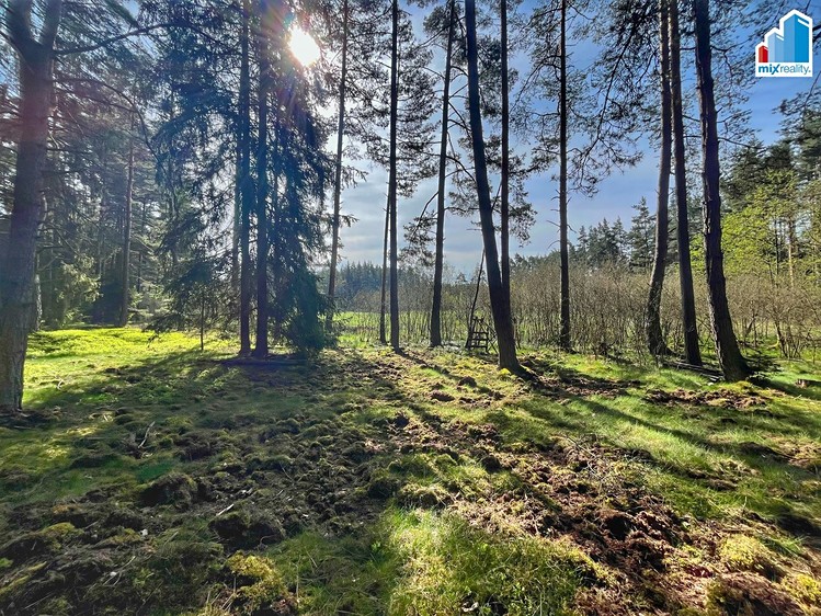 Prodej pozemku, 16 545 m² (13 z 26)