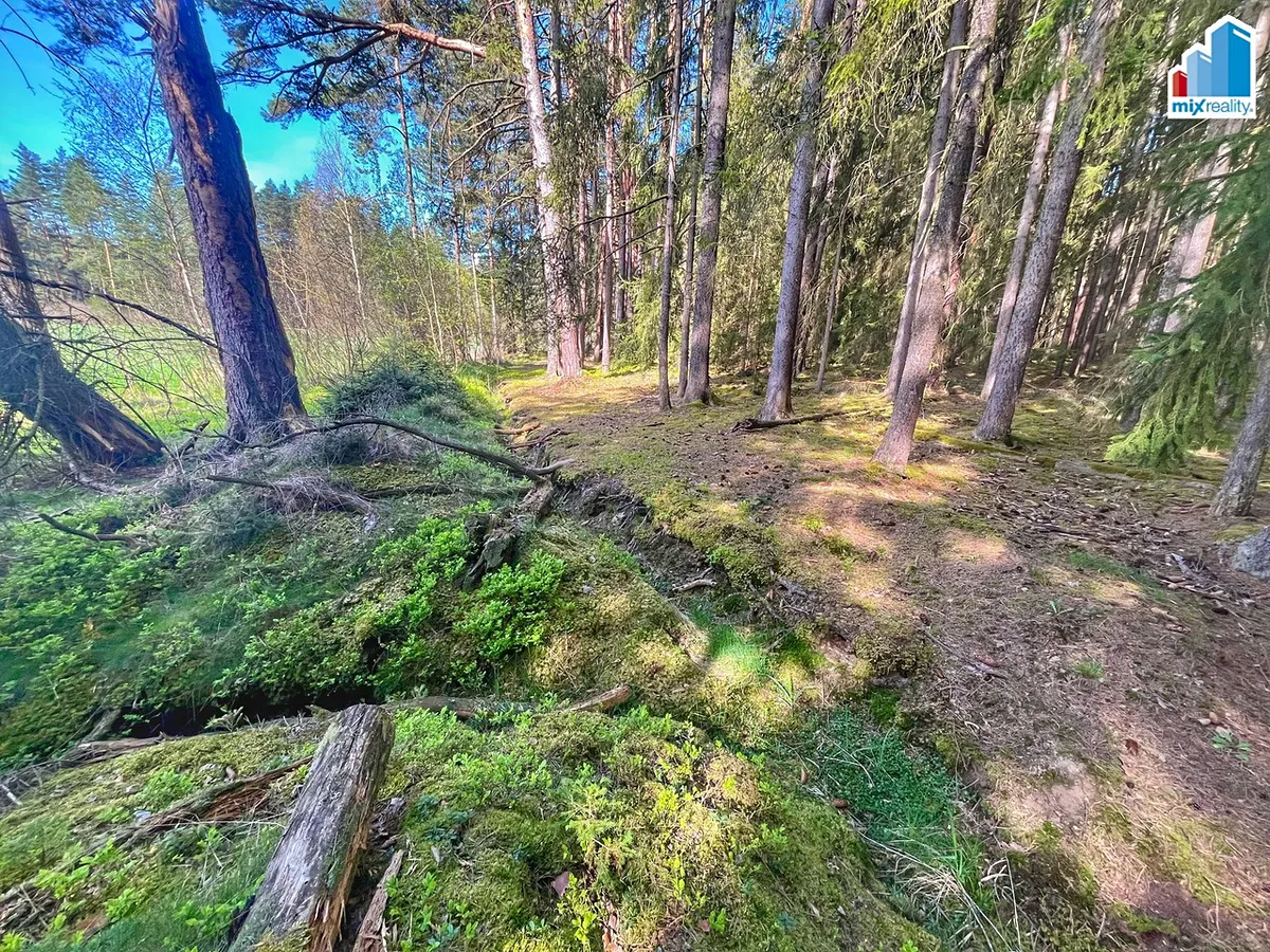 Fotka 11 z 26