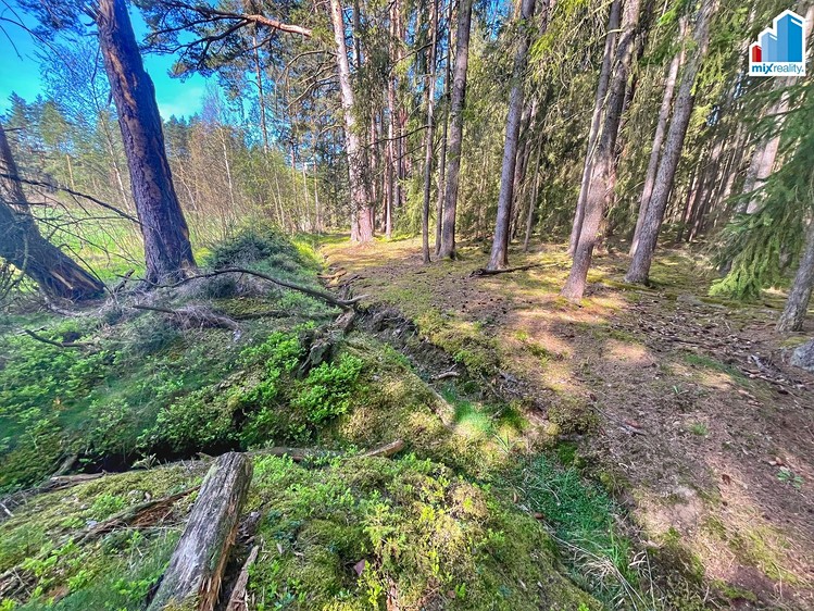 Prodej pozemku, 16 545 m² (11 z 26)
