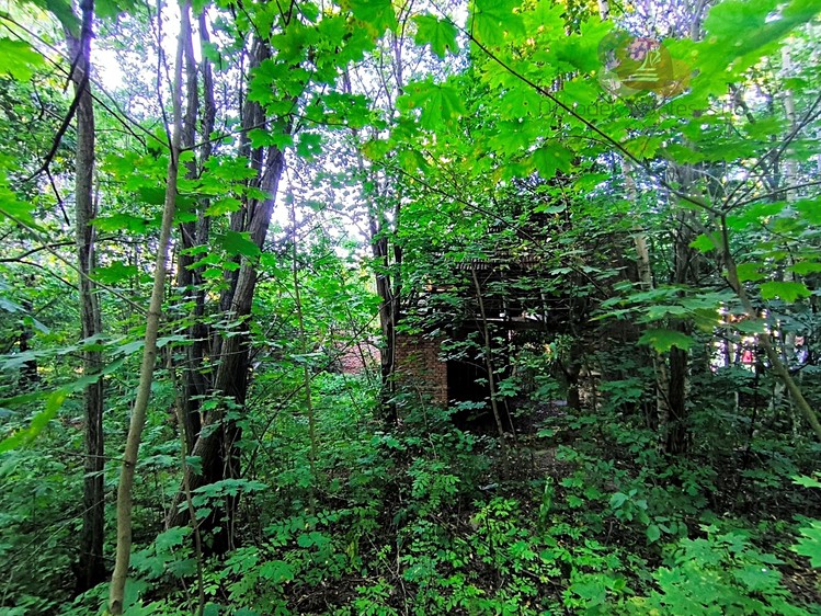 Grundstück zum Kauf, 3.992 m² (6 von 21)