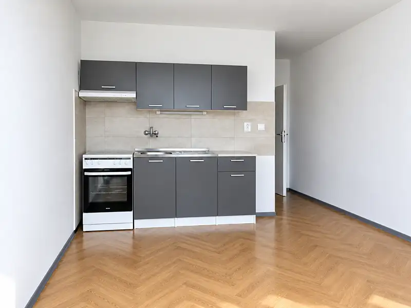 Prodej bytu 1+1 35 m², Chomutov – náhled fotky 2