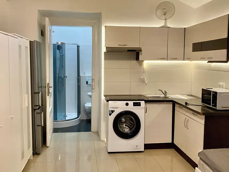 Pronájem bytu 1+kk 20 m², Praha – náhled fotky 2