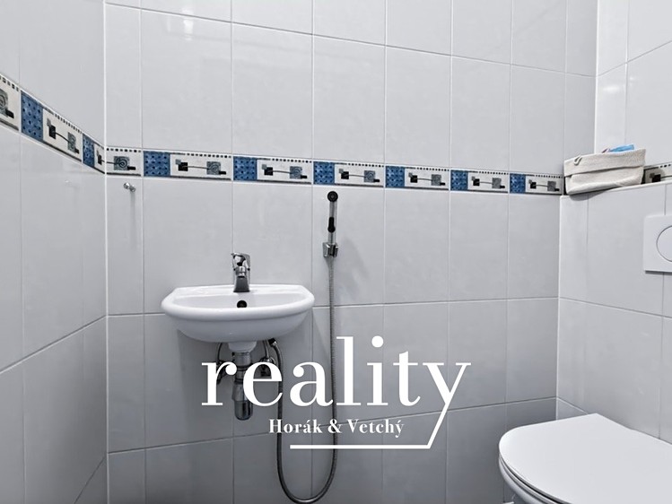 Prodej domu, 164 m² (20 z 43)