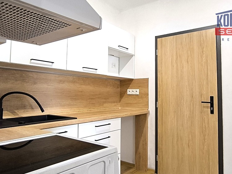 Prodej bytu 1+1, 27 m² (3 z 19)