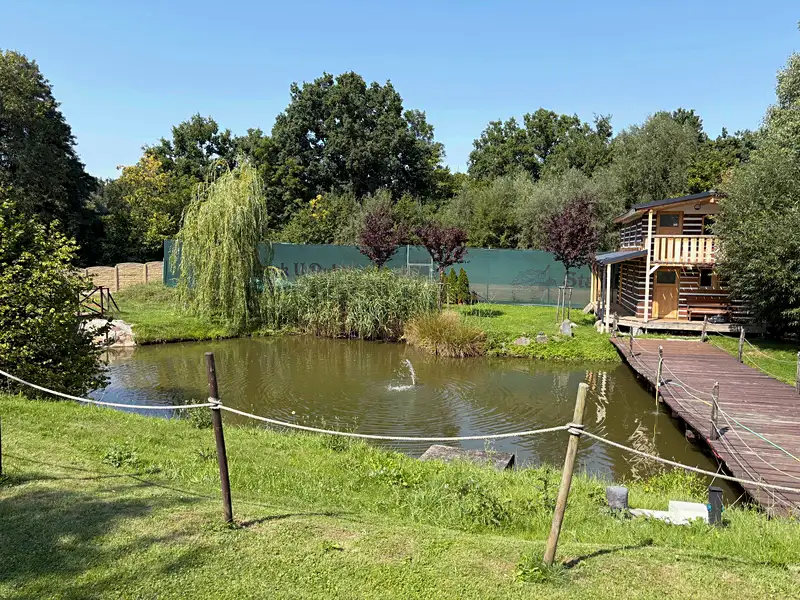 Prodej rodinného domu 800 m², pozemek 4800 m², Svojetín – náhled fotky 2