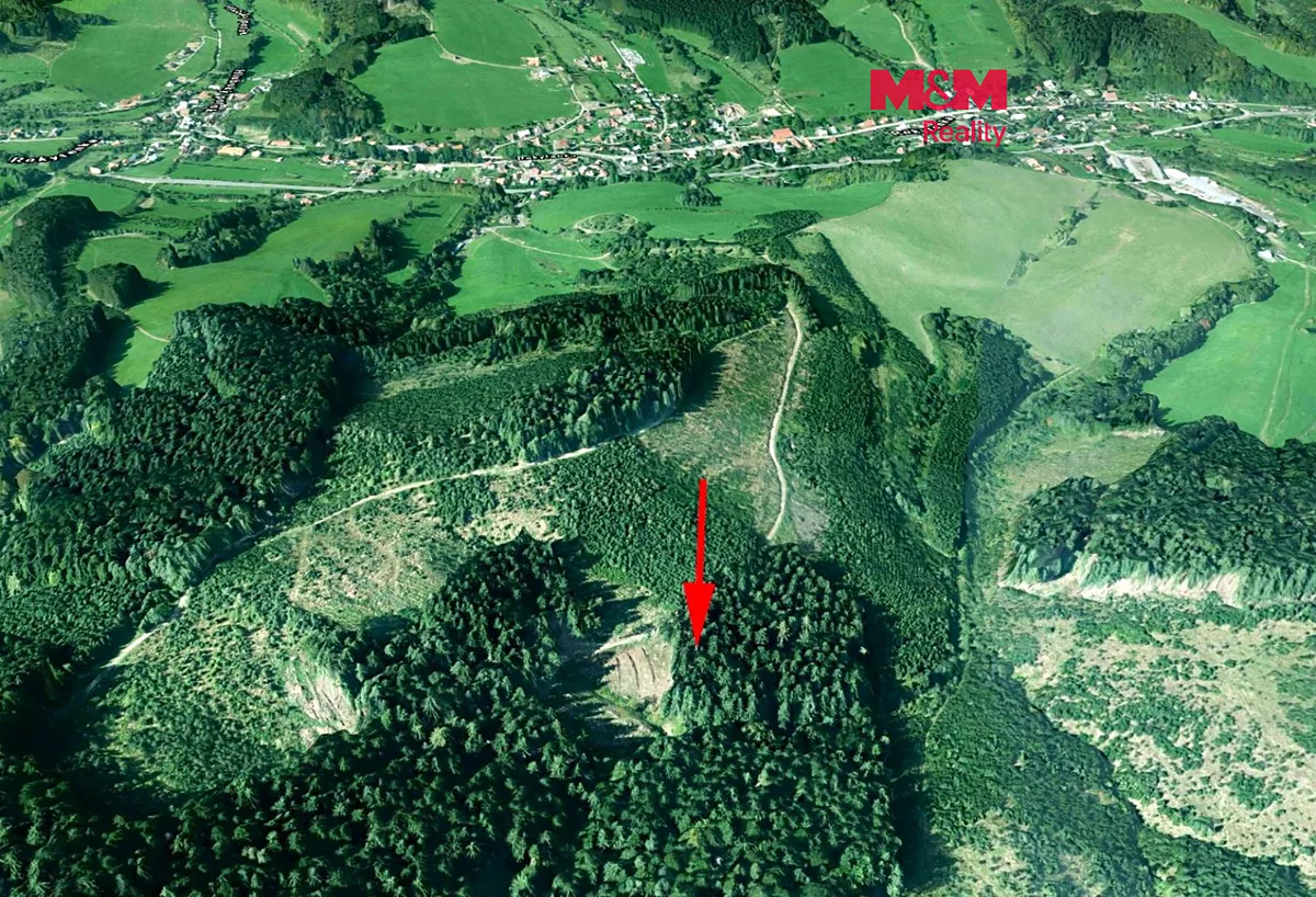 Prodej lesa 7226 m²
