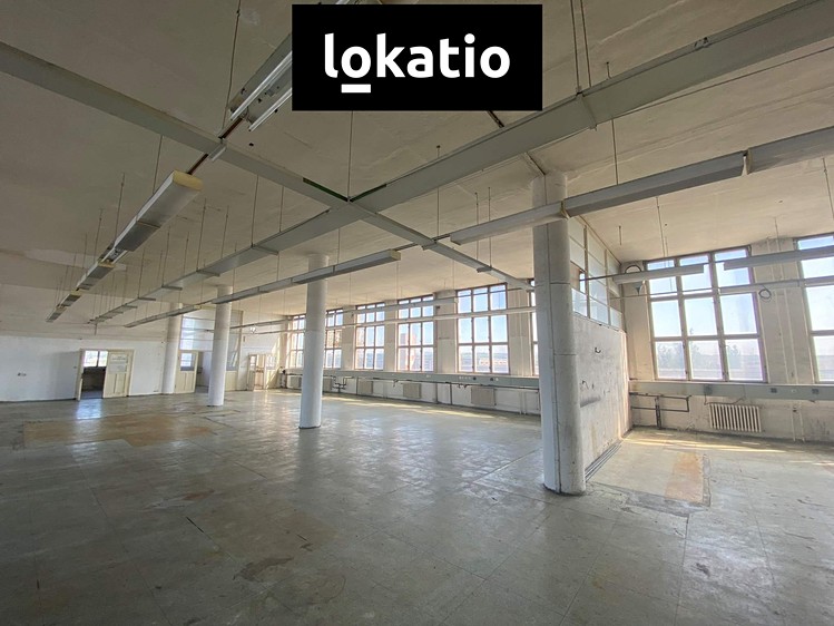 Gewerbefläche zur Miete, 169 m² (3 von 11)