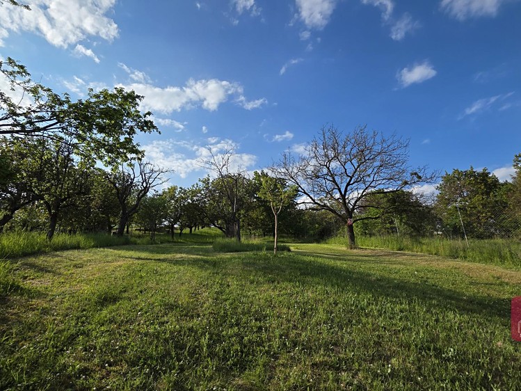 Grundstück zum Kauf, 2.164 m² (6 von 15)