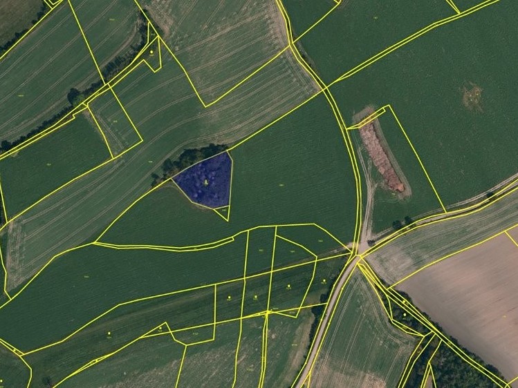 Prodej pozemku, 2 612 m² (2 z 4)