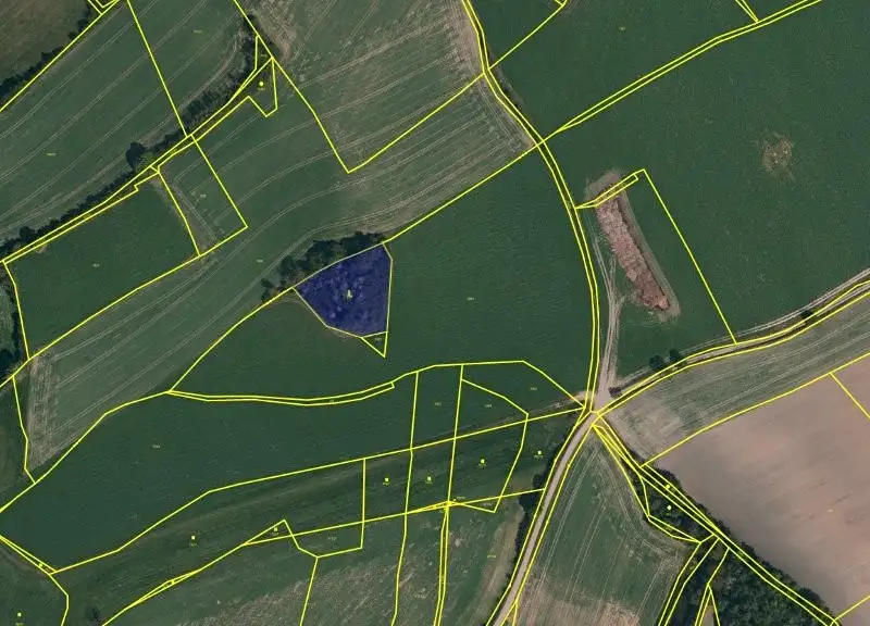 Prodej lesa 2612 m², Brtnice – náhled fotky 2