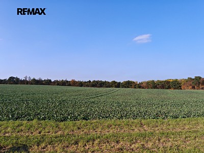 Grundstück zum Kauf, 10.226 m² (2 von 5)