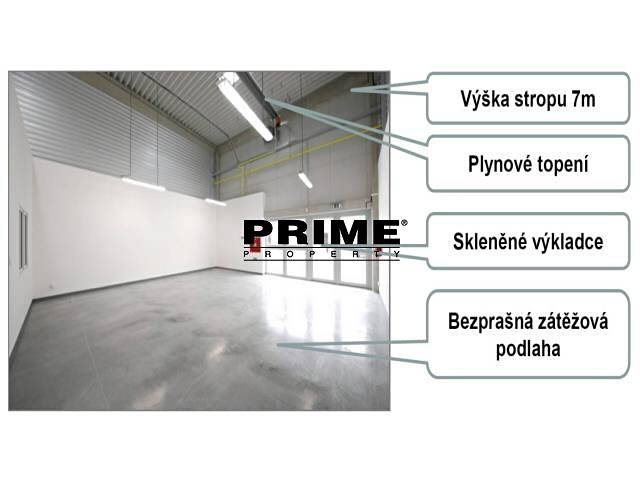 Gewerbefläche zur Miete, 205 m² (4 von 11)