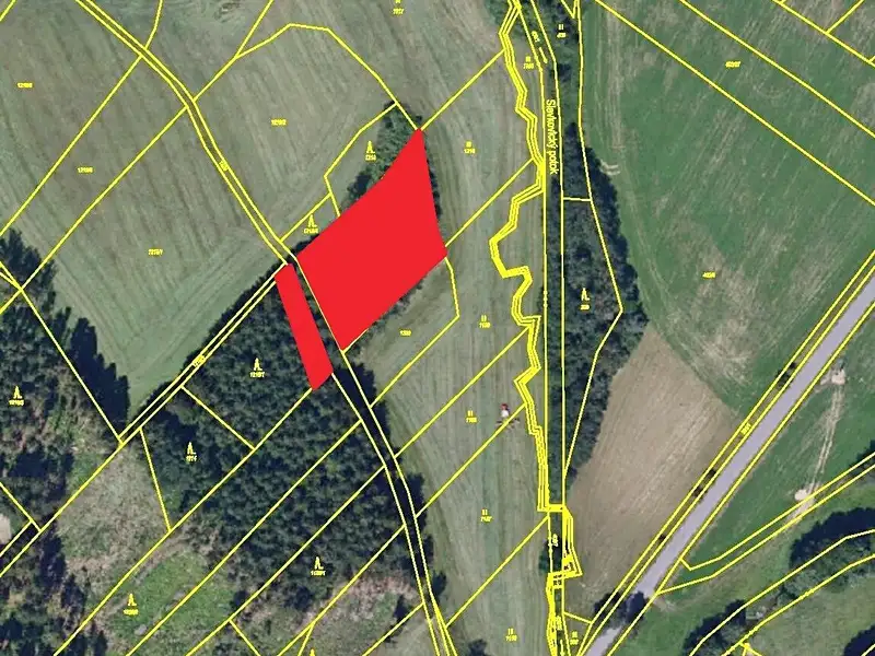 Prodej lesa 9184 m², Řečice – náhled fotky 2