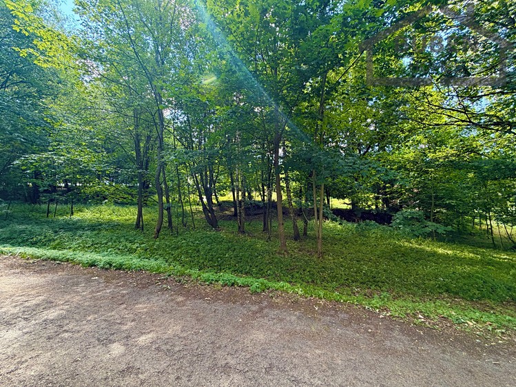 Prodej pozemku, 4 165 m² (4 z 19)