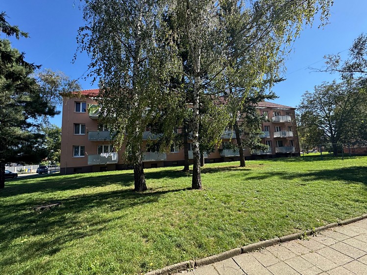 Ostatní