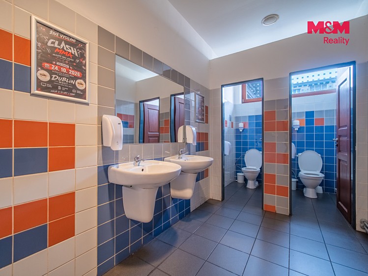 Комерційне приміщення в оренду, 400 м² (11 з 17)