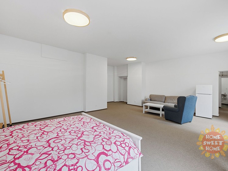 Wohnung 1+1 zur Miete, 60 m² (5 von 20)