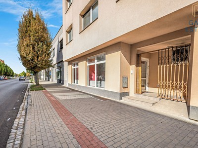 Prodej komerčního prostoru, 87 m² (2 z 13)
