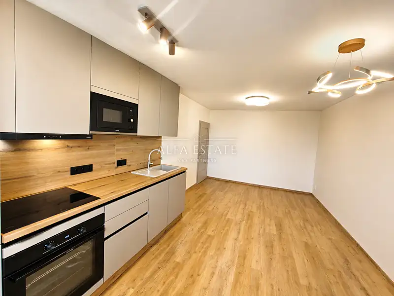 Pronájem bytu 3+kk 61 m², Karlovy Vary – náhled fotky 1