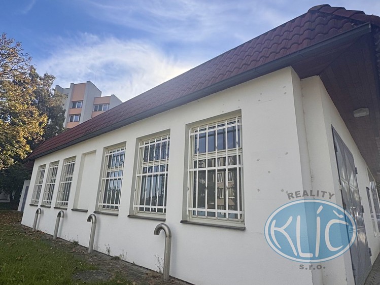 Pronájem komerčního prostoru, 114 m² (29 z 34)