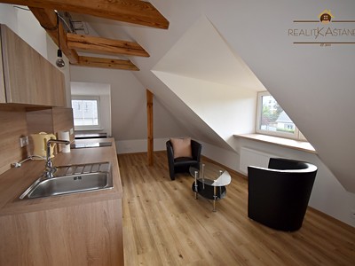 Pronájem bytu atypical, 34 m² (3 z 14)
