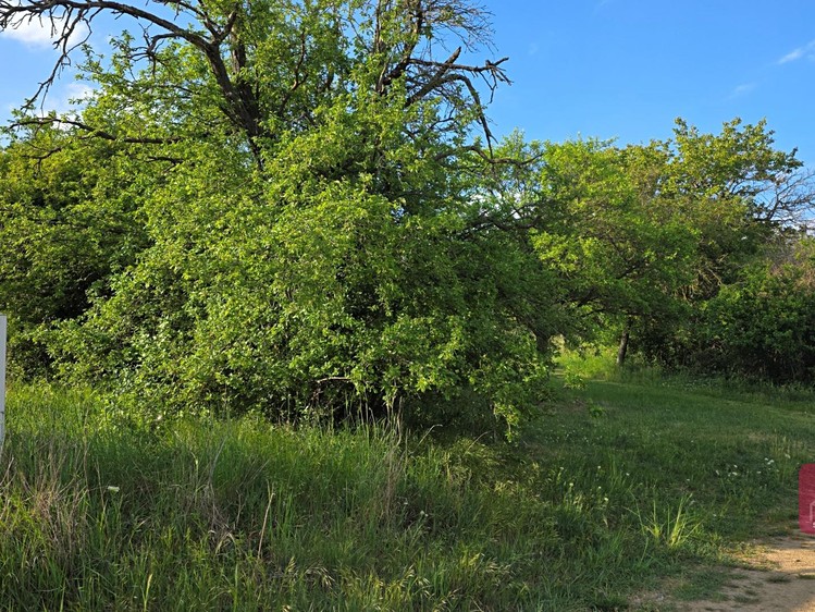 Grundstück zum Kauf, 2.164 m² (7 von 15)