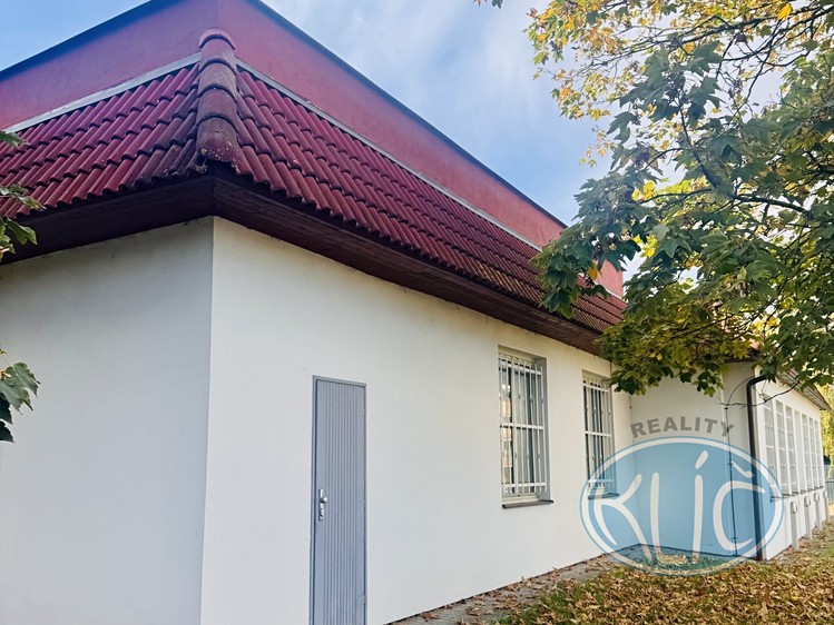 Pronájem komerčního prostoru, 114 m² (31 z 34)