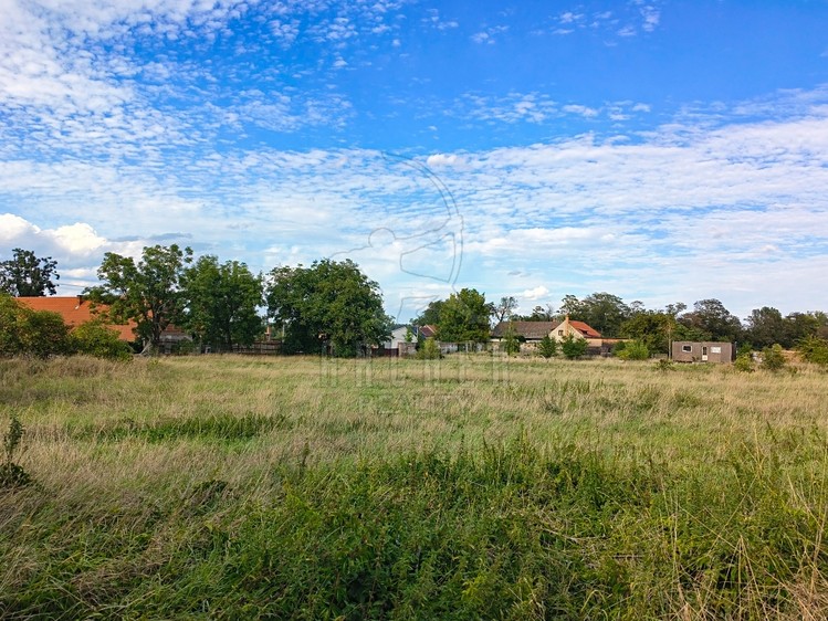 Ділянка на продаж, 7 856 м² (3 з 10)