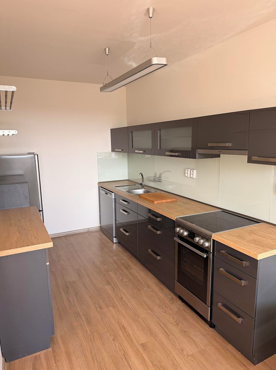 Pronájem bytu 4+kk 100 m² – fotografie 3