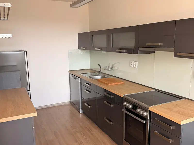Pronájem bytu 4+kk 100 m², Praha – náhled fotky 3