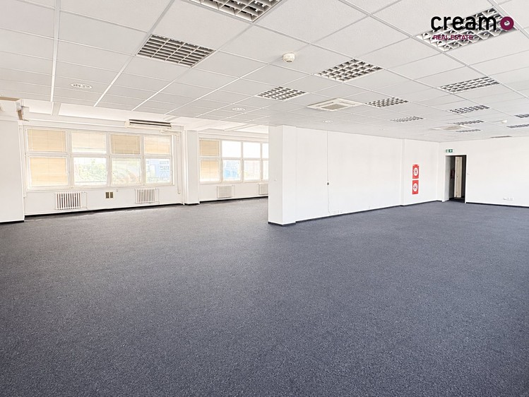 Pronájem komerčního prostoru, 263 m² (3 z 14)