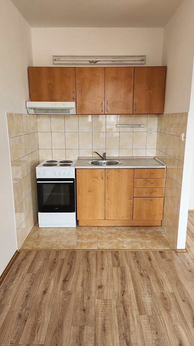 Pronájem bytu 1+kk 36 m², Děčín – fotka 1 z 3