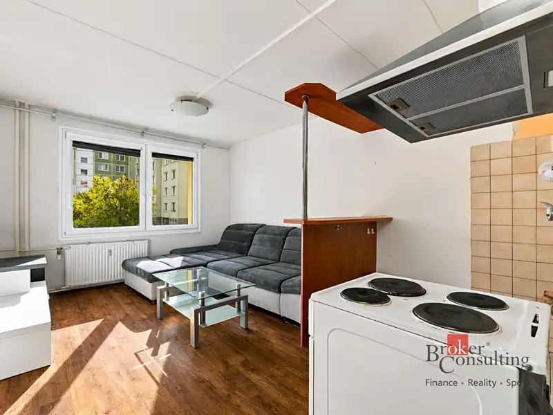 Prodej bytu 1+1 48 m², Plzeň – náhled fotky 2